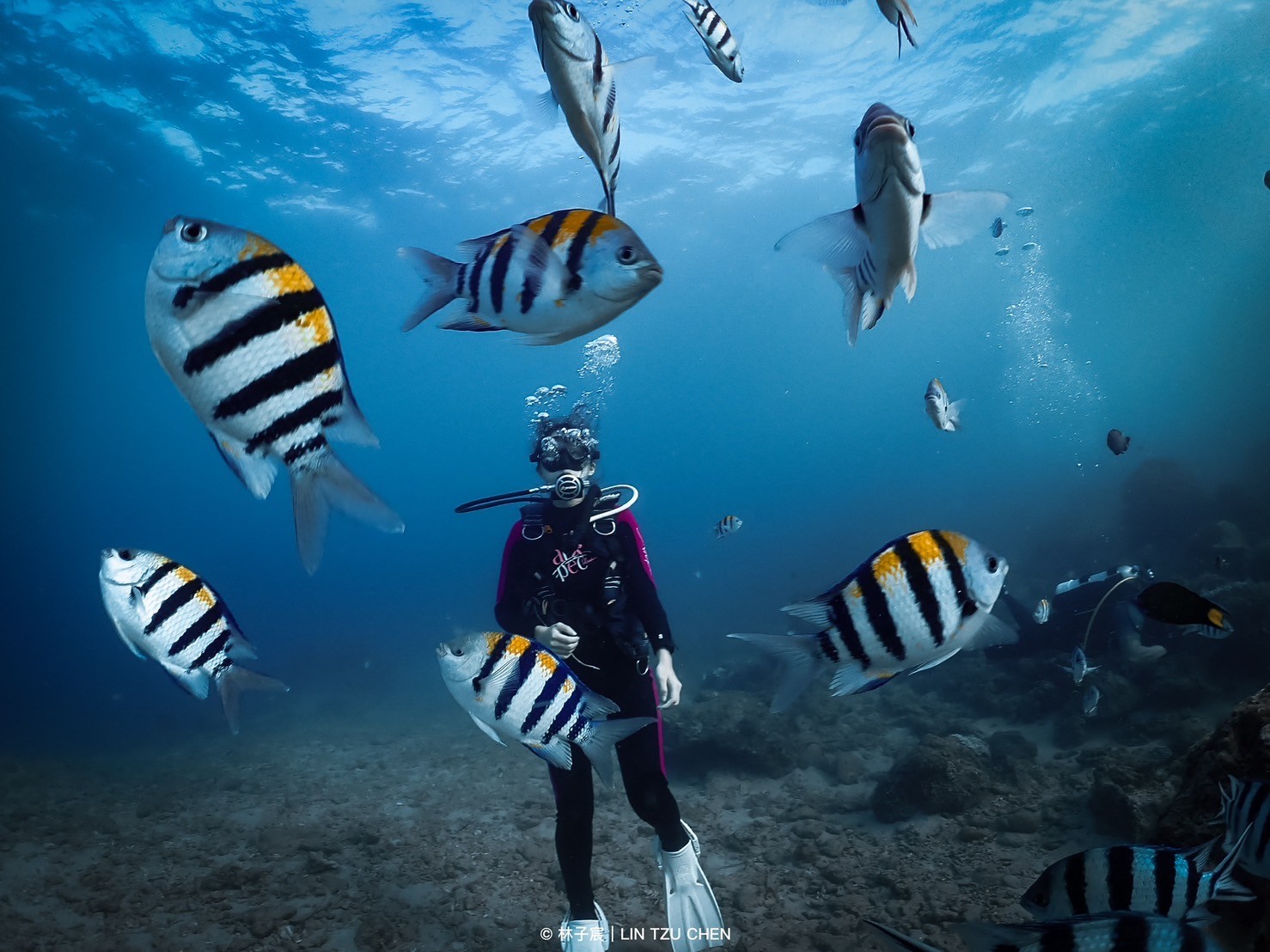 Open Water Diver開放水域潛水員課程– 舒服潛水